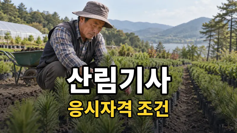 산림기사 응시자격, 다섯 갈래 길 중 내가 서 있는 곳