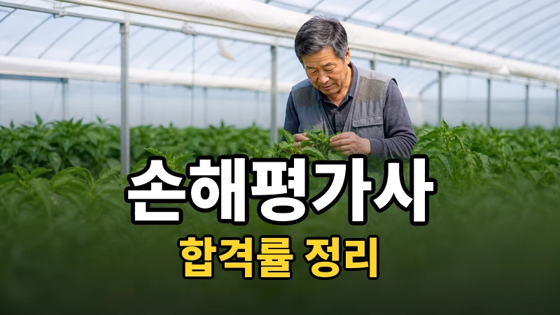 손해평가사 합격률 — 자세히 보기